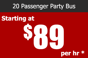 20 passenger party bus rental